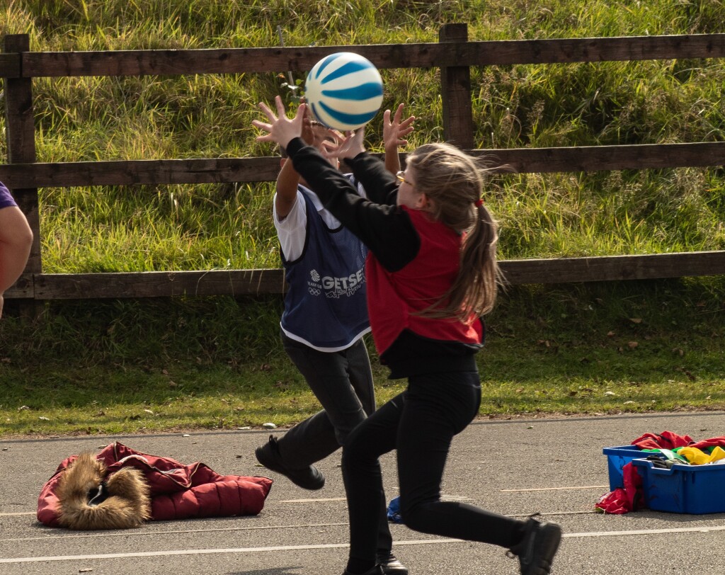 About the Gates Primary School